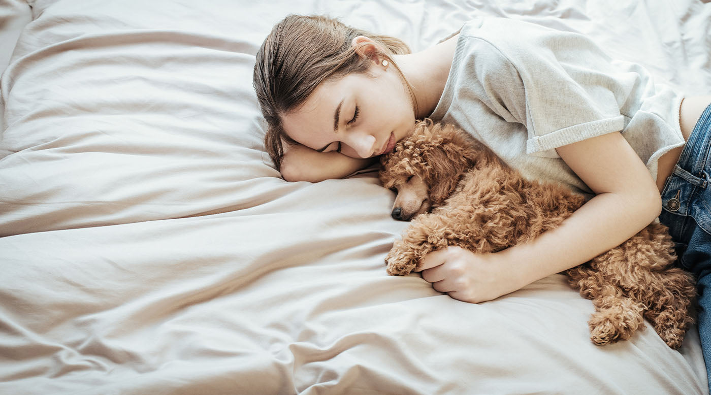 Warum dein Hund ständig den Liegeplatz wechselt – wann ein orthopädisches Hundebett sinnvoll sein kann