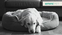Orthopädisches Katzen- und Hundebett ASTRO Beige
